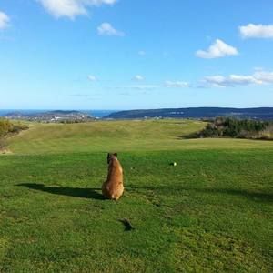 Meet your Posher, William